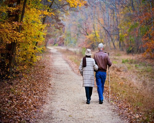 mature men walking outdoors nature trail relaxing